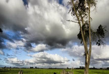 FB体育：中超第17輪上海海港0-2山東泰山 孫準浩傳射賈德松頭球破門.